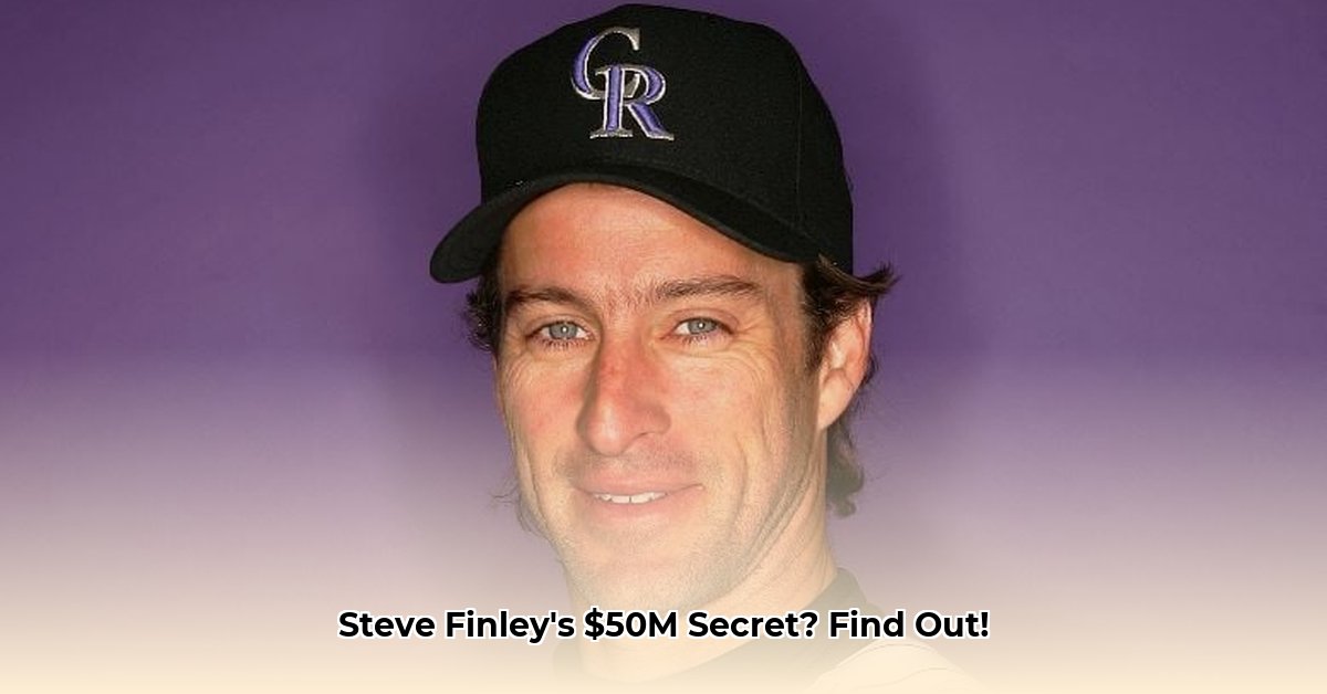 steve-finley-net-worth